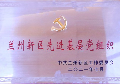 伟德体育官网先进基层党组织